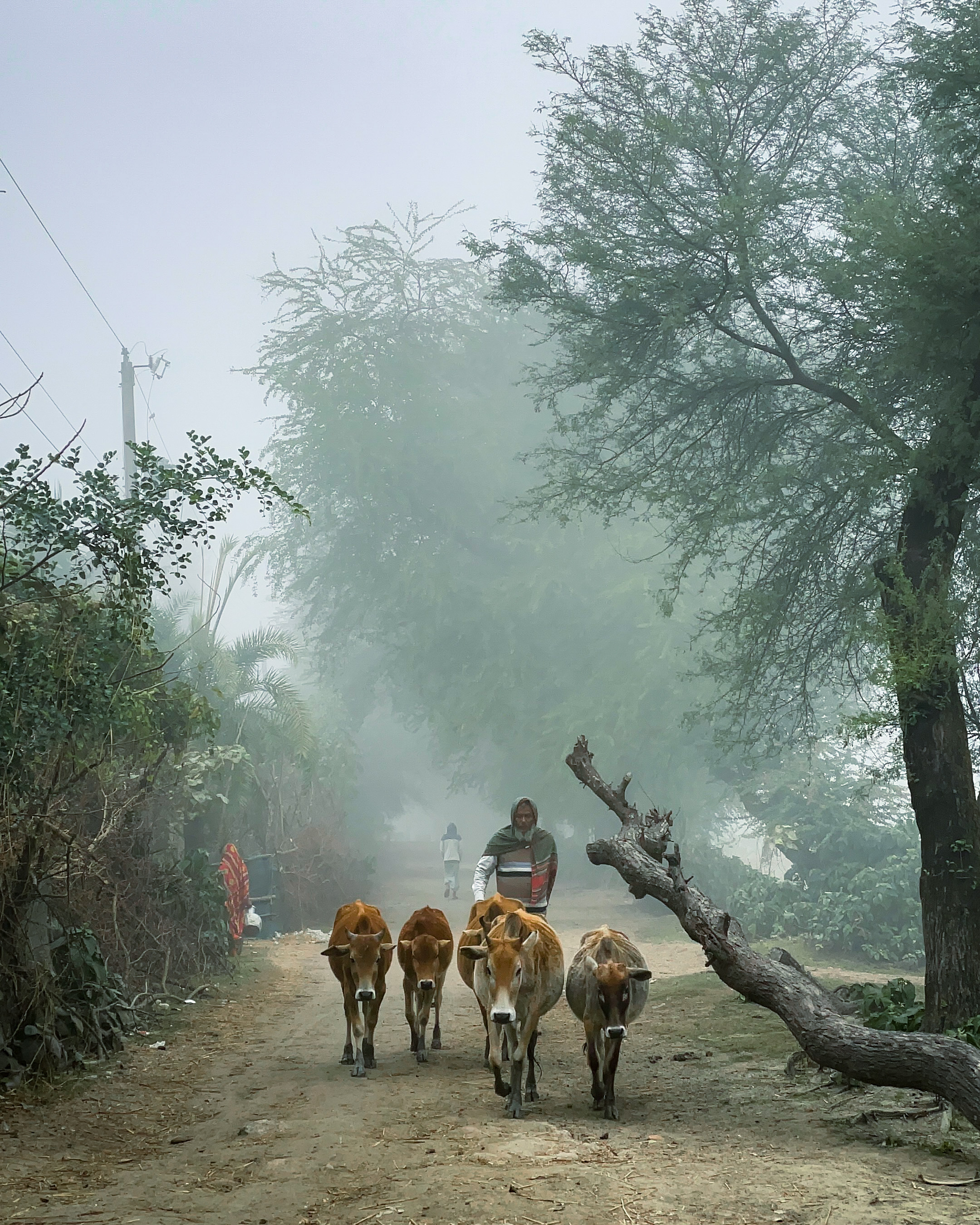 Mahim - Filmmaker & Traveller