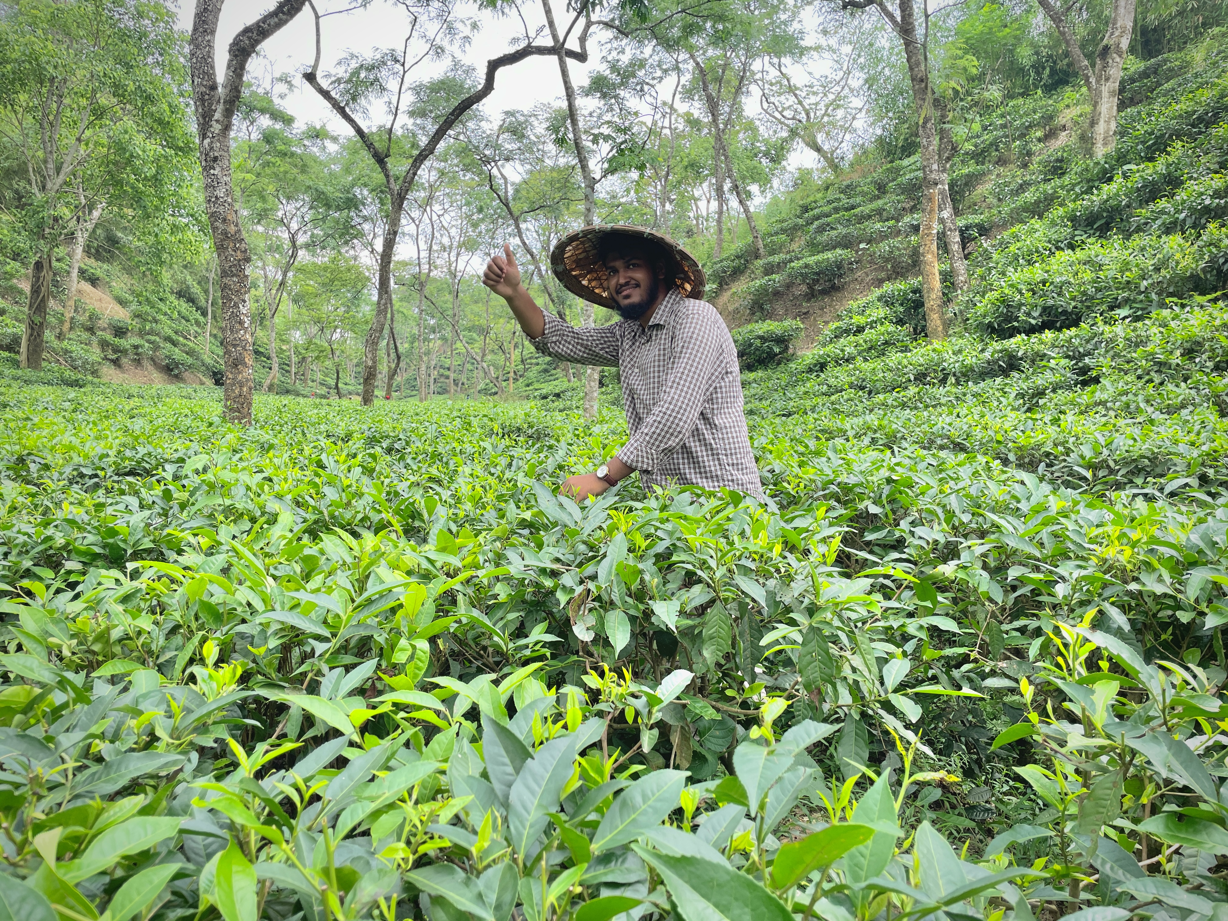 Sylhet